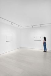 Exhibition view: Prabhavathi Meppayil, Pace Gallery, Seoul (13 May–18 June 2022). Courtesy Pace Gallery.