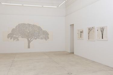 Contemporary art exhibition, Johanna Calle, INDENTURES at Galerie Krinzinger, Seilerstätte 16, Vienna, Austria