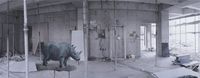 Rhino by Honggoo Kang contemporary artwork photography