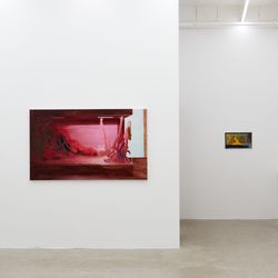 Exhibition view: Mircea Teleagă, The Hour Between Dog and Wolf, THEO, Seoul (23 March–19 April 2024). Courtesy THEO.