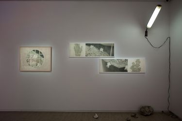 Exhibition view: Group exhibition, 6 and 1/3 @Image Venation, Lin & Lin Gallery, Taipei (19 October–4 December 2021). Courtesy Lin & Lin Gallery. 