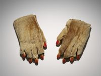 Fur Gloves With Wooden Fingers by Meret Oppenheim contemporary artwork mixed media