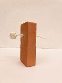 Arrow/Flower – Brick/Body by Yuxiang Wang contemporary artwork sculpture
