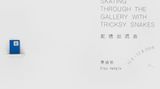 Contemporary art exhibition, Xiao Hanqiu, Skating Through the Gallery with Tricksy Snakes at Tabula Rasa Gallery, Beijing, China