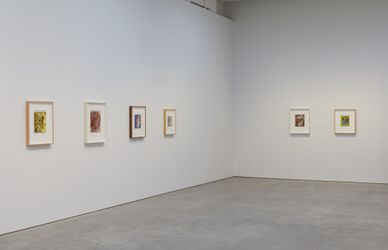 Exhibition view: Mark Grotjahn, Skulls 2016–2023, Karma, 188 East 2nd Street, New York (3 November–20 December 2023). Courtesy Karma.