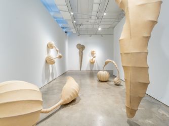Contemporary art exhibition, Angelo Venosa, Angelo Venosa Curated By Vik Muniz at Galeria Nara Roesler, New York, United States