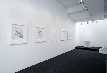 Exhibition view: Rachel Rose, The Story, Gladstone Gallery, Seoul (18 March–6 May 2023). Courtesy Gladstone Gallery.