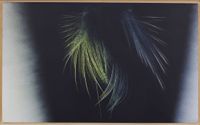 T1966-H32 by Hans Hartung contemporary artwork painting
