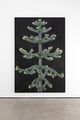 portrait of a monkey puzzle tree (Glasgow) by Andrew Sim contemporary artwork 1