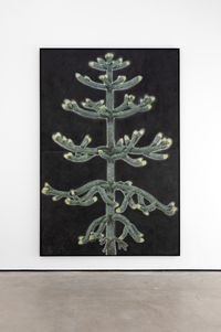 portrait of a monkey puzzle tree (Glasgow) by Andrew Sim contemporary artwork works on paper, drawing
