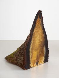 The Iconoclast Tree by Fabrice Samyn contemporary artwork sculpture