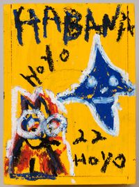 Marigold Habana Hoyo 22 Hoyo Box by Harmony Korine contemporary artwork works on paper