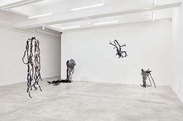 Exhibition view: Minouk Lim, Mamour, Tina Kim, New York (November 2, 2017—January 20, 2018). Courtesy Tina Kim, New York. 