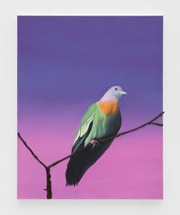 Bird on branch by Alec Egan contemporary artwork painting, works on paper