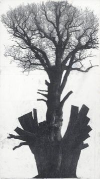 Drawing of old trees on wintry days during 2007-2014 by Patrick Van Caeckenbergh contemporary artwork painting, works on paper, drawing