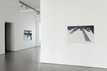 Exhibition view: Koen van den Broek, Galerie Greta Meert, Brussels (9 September–6 November 2010). Courtesy Galerie Greta Meert.
