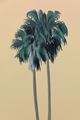 Palms and parking garage by Alec Egan contemporary artwork 4