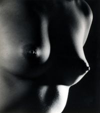 Untitled (Nude) by André Kertész contemporary artwork photography