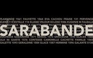 Sarabande by Clément Borderie contemporary artwork 3