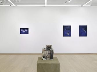 Exhibition view: Viola Leddi, I saw stars turn into dark coals, Pace Gallery, Geneva (28 July–28 August 2023). Courtesy Pace Gallery.