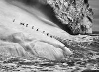 Chinstrap penguins on an iceberg, between Zavodovski and Visokoi islands, South Sandwich Islands by Sebastião Salgado contemporary artwork photography