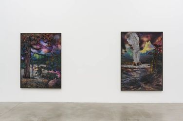 Exhibition view:  Matthew Day Jackson, Against Nature, Pace Gallery, West 25th Street, New York (12 May–1 July 2023). Courtesy Pace Gallery.