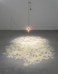 Shilpa Gupta, 'Stars on Flags of the World' series (2012/2023). Stars cast in wax in proportion to the volume of artist's body. Exhibition view: I did not tell you what I saw, but only what I dreamt, Amant, New York (21 October 2023–28 April 2024). Courtesy Amant. Photo: Sebastian Bach.Image from:Shilpa Gupta Complicates Nation-state Notions in U.S. SurveyRead NewsFollow ArtistEnquire