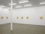 Contemporary art exhibition, Jin Jiangbo, John Reynolds, Performative Geographies at Starkwhite, Auckland, New Zealand
