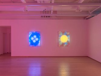 Exhibition view: Leo Villareal, Nebulae, Pace Gallery, Geneva (25 January–18 March 2023). Courtesy Pace Gallery.