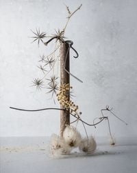 become a part of something_Rusts and Seeds by Seongyeon Jo contemporary artwork photography
