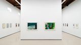 Contemporary art exhibition, Ilse D'Hollander, A Harmony Parallel to Nature at Sean Kelly, Los Angeles, United States