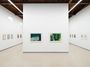 Contemporary art exhibition, Ilse D'Hollander, A Harmony Parallel to Nature at Sean Kelly, Los Angeles, United States