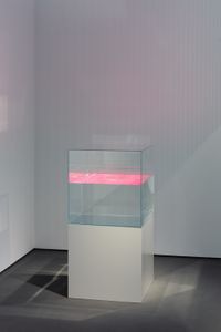 Pink Coco Lopez by Ann Veronica Janssens contemporary artwork sculpture
