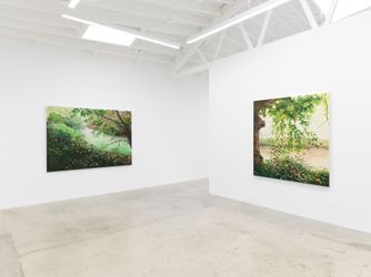 Exhibition view: Hannah Brown, Hollow Pond, Anat Ebgi, Los Angeles (8 March–20 April 2024). Courtesy Anat Ebgi, Los Angeles/New York.