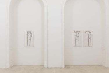 Exhibition View: Johanna Calle, INDENTURES, Galerie Krinzinger, Vienna (25 March–30 April 2024). Courtesy Galerie Krinzinger.