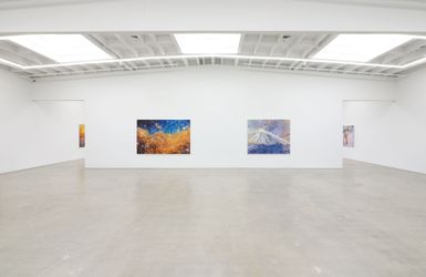Exhibition view: Keith Mayerson, My American Dream: City of Angels, Karma, Los Angeles (23 May–20 July 2024). Courtesy Karma. Photo: Heather Rasmussen.