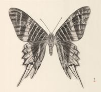 Butterfly 1 by Zhang Yirong contemporary artwork works on paper