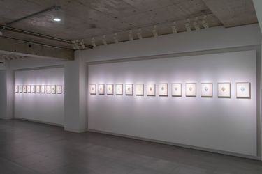 Exhibition view: Shiori Horie, The Scab Comes Off, √K Contemporary, Tokyo (18 November–23 December 2023). Courtesy √K Contemporary.