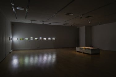 Exhibition view: Group Exhibition, Side Lanes 辅路,  ShanghART, Westbund, Shanghai (18 January–24 February 2019). Courtesy ShanghART.  