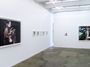 Contemporary art exhibition, Yamini Nayar, an axe and a wing-bone at Thomas Erben Gallery, New York, United States