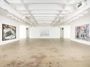 Contemporary art exhibition, Mikhael Subotzky, Massive Nerve Corpus at Goodman Gallery, Johannesburg, South Africa