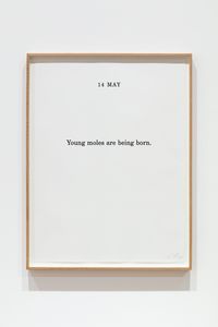 Nature Calendar: 14 May by Marcus Coates contemporary artwork print