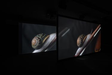 Exhibition view: Anri Sala, AS YOU GO, Winsing Art Place, Taipei (17 December 2022–19 March 2023). Courtesy Winsing Art Place.