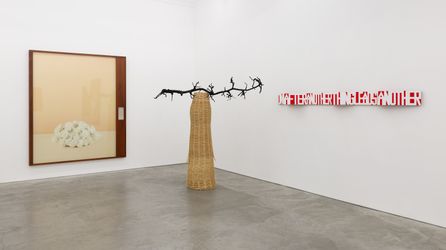 Contemporary art exhibition, Group Exhibition, IN HOUSE at Anna Schwartz Gallery, Melbourne, Australia
