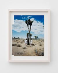 joshua tree/la/2018 by fumiko imano contemporary artwork photography