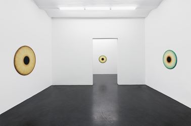Exhibition view: Ulla Wiggen, Visualities, Galerie Buchholz, Cologne (24 January–4 April 2020). Courtesy Galerie Buchholz Berlin/Cologne/New York.