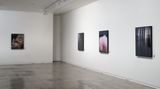 Contemporary art exhibition, Conor Clarke, As far as the eye can reach at Two Rooms, Auckland, New Zealand