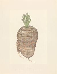 Revival Series #14 Stand Alone Carrot by Eddie Lui contemporary artwork works on paper, drawing