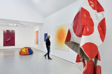 Exhibition view: Klaas Kloosterboer, Sunfloweryellow and other colors (Aspects I), Galerie Zink Waldkirchen, Seubersdorf (26 November 2023–14 January 2024). Courtesy Galerie Zink Waldkirchen, Seubersdorf.
