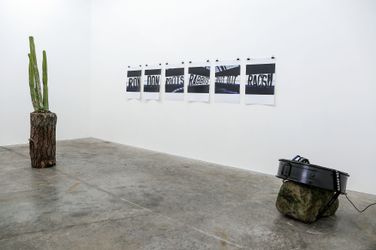 Exhibition view: Robert Hood, Species, Jonathan Smart Gallery, Christchurch (8–30 July 2022). Courtesy Jonathan Smart Gallery.